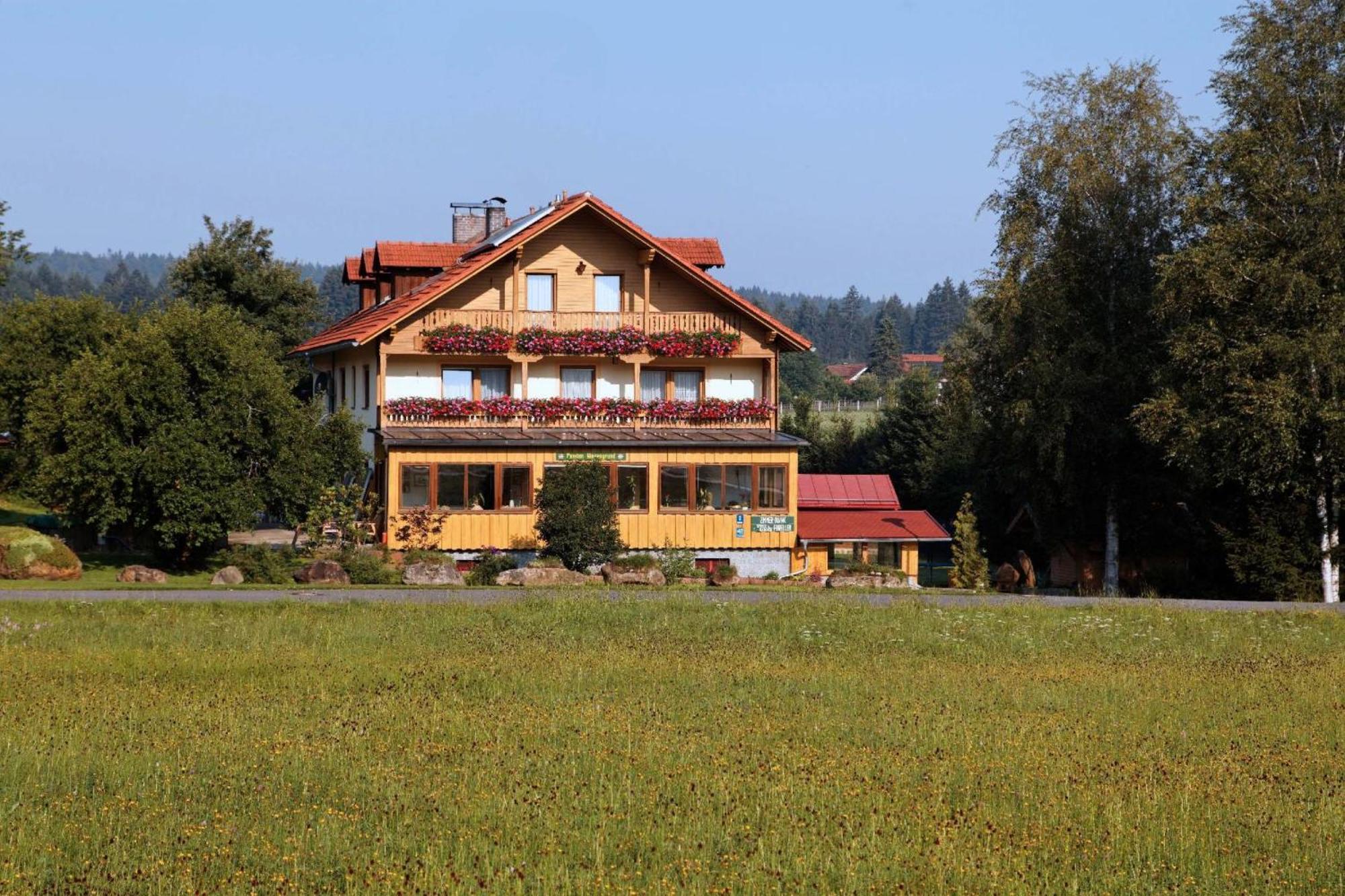 Pension Wiesengrund Нойшёнау Экстерьер фото