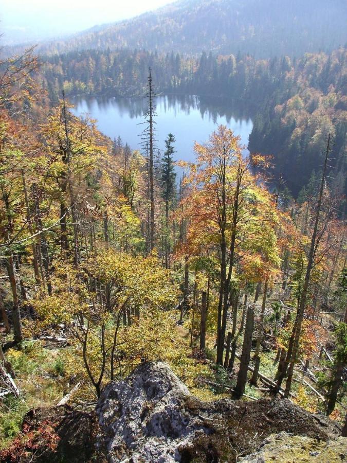 Pension Wiesengrund Нойшёнау Экстерьер фото